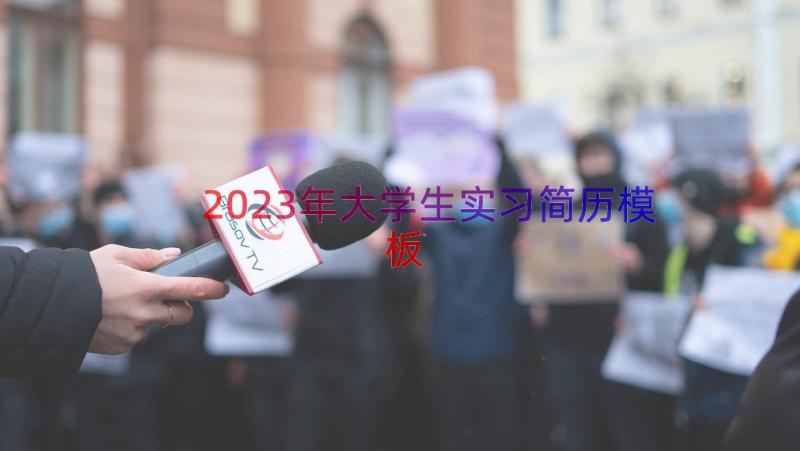 2023年大学生实习简历（模板16篇）