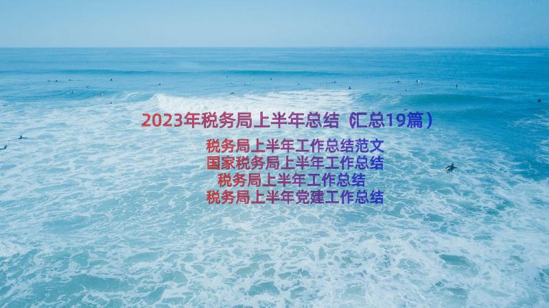 2023年税务局上半年总结（汇总19篇）