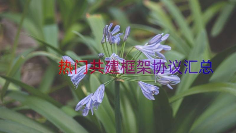 热门共建框架协议（汇总20篇）