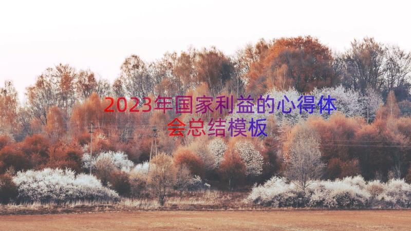 2023年国家利益的心得体会总结（模板19篇）