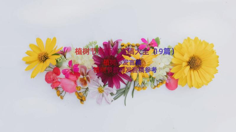 植树节教师发言稿大全（19篇）