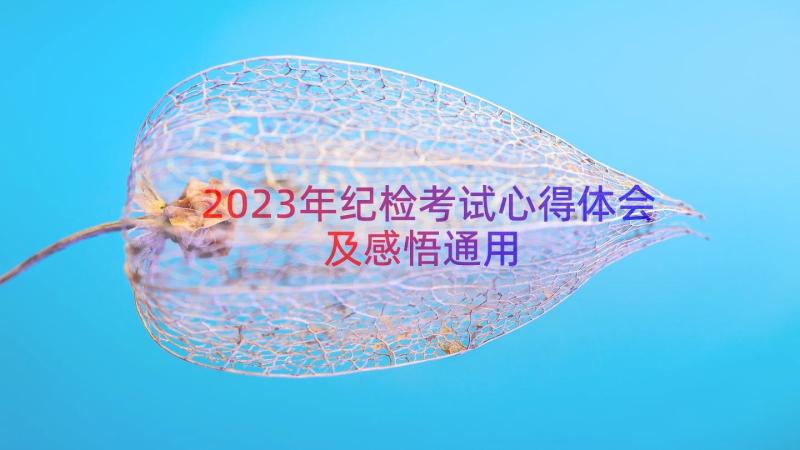 2023年纪检考试心得体会及感悟（通用17篇）