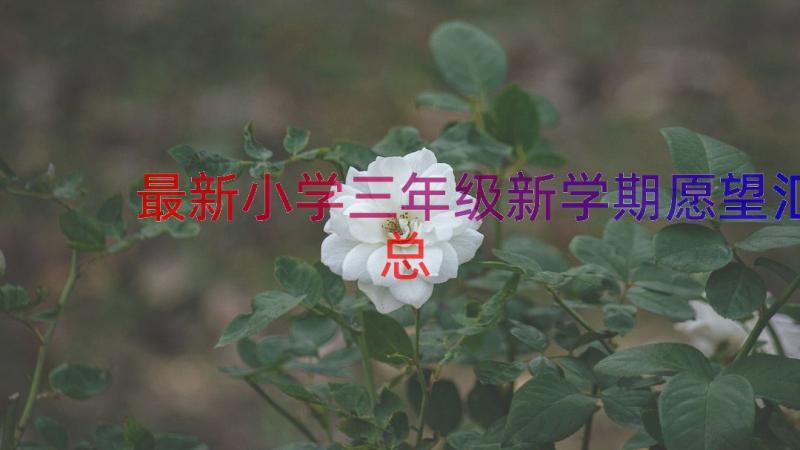 最新小学三年级新学期愿望（汇总19篇）