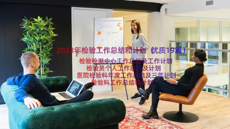 2023年检验工作总结和计划（优质19篇）