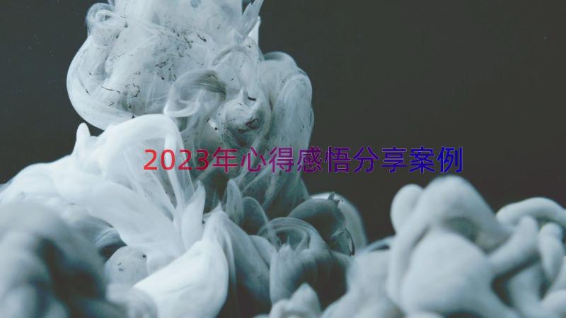 2023年心得感悟分享（案例16篇）