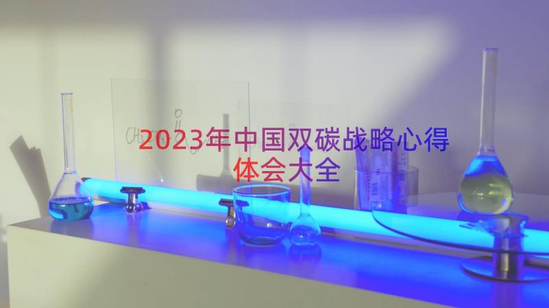 2023年中国双碳战略心得体会大全（13篇）