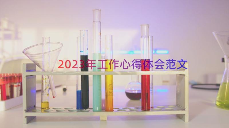 2023年工作心得体会范文（15篇）