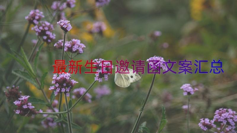 最新生日邀请函文案（汇总19篇）