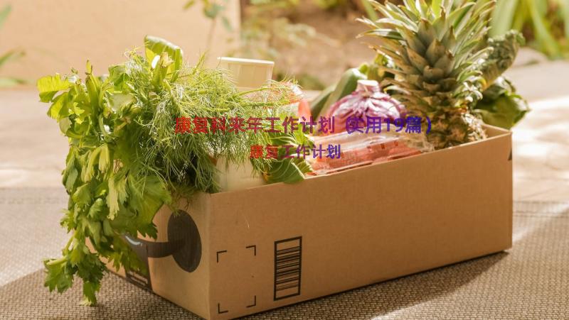 康复科来年工作计划（实用19篇）