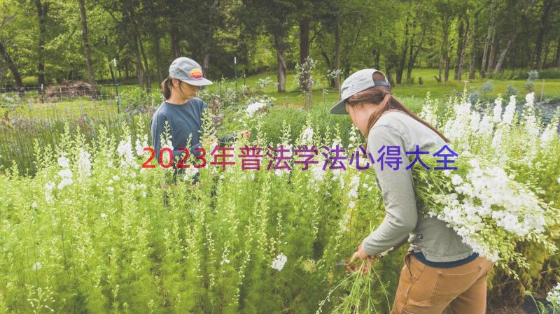 2023年普法学法心得大全（17篇）