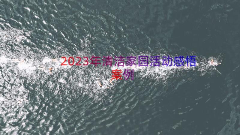 2023年清洁家园活动感悟（案例12篇）