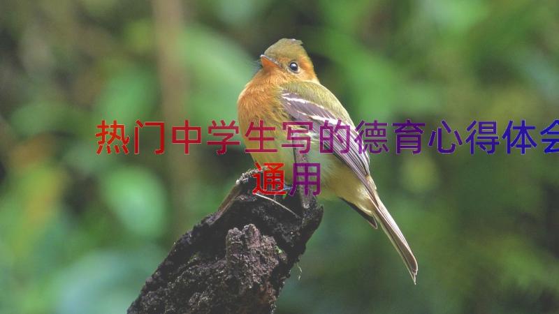 热门中学生写的德育心得体会（通用14篇）