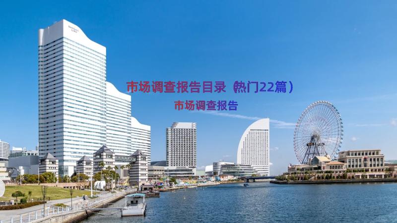 市场调查报告目录（热门22篇）