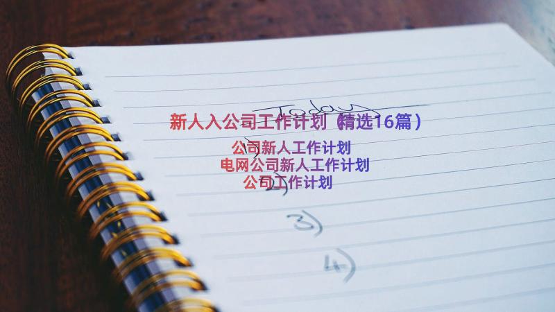 新人入公司工作计划（精选16篇）