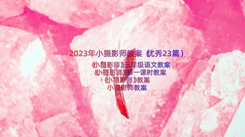 2023年小摄影师教案（优秀23篇）