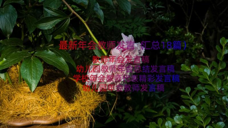 最新年会教师发言（汇总18篇）