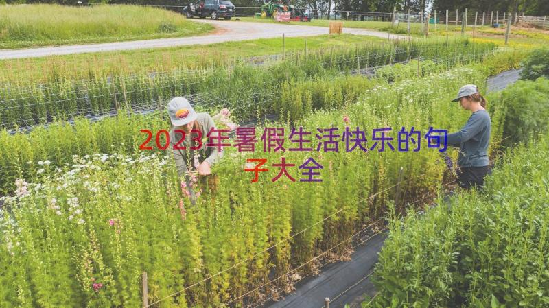 2023年暑假生活快乐的句子大全（18篇）