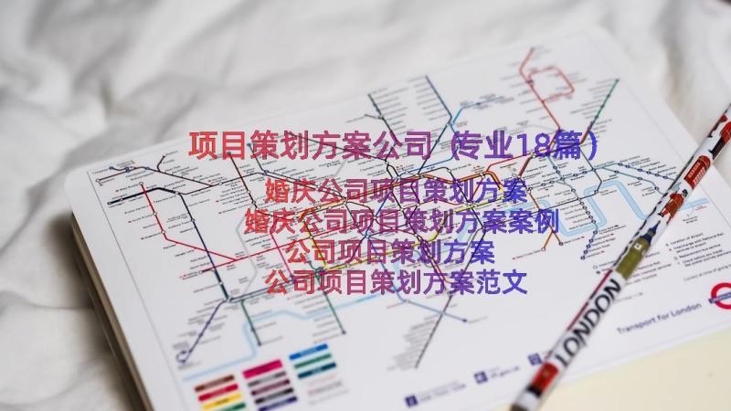 项目策划方案公司（专业18篇）