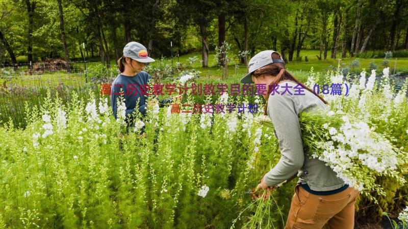 高二历史教学计划教学目的要求大全（18篇）