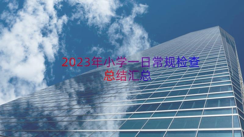 2023年小学一日常规检查总结（汇总16篇）