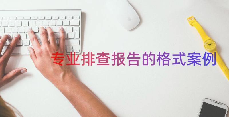 专业排查报告的格式（案例13篇）