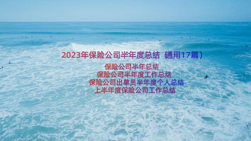 2023年保险公司半年度总结（通用17篇）