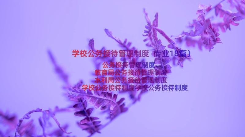 学校公务接待管理制度（专业18篇）