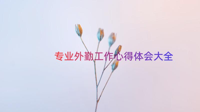 专业外勤工作心得体会大全（14篇）