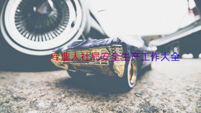 专业人社局安全生产工作大全（18篇）