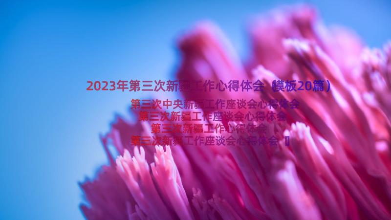 2023年第三次新疆工作心得体会（模板20篇）