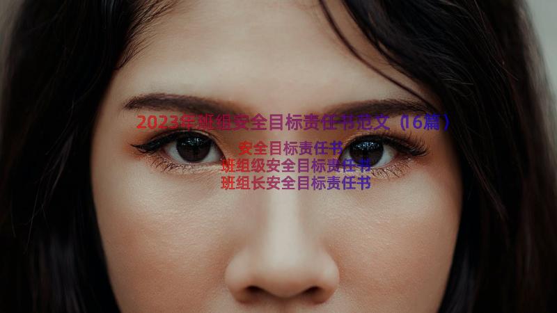 2023年班组安全目标责任书范文（16篇）