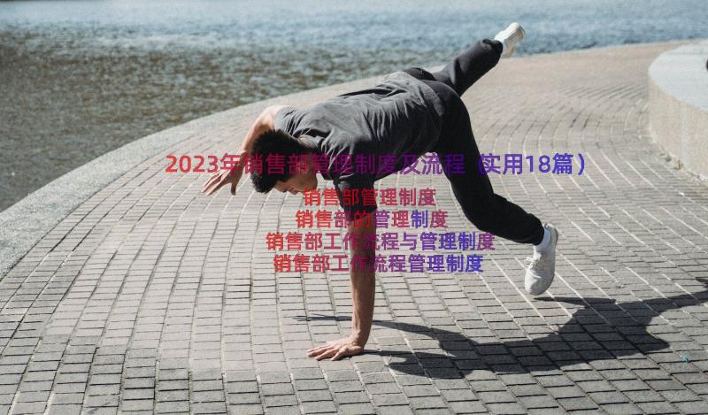 2023年销售部管理制度及流程（实用18篇）