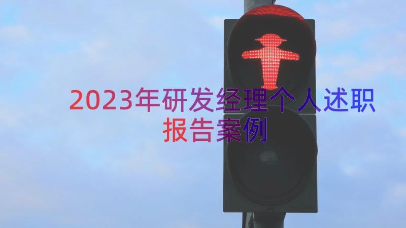 2023年研发经理个人述职报告（案例18篇）