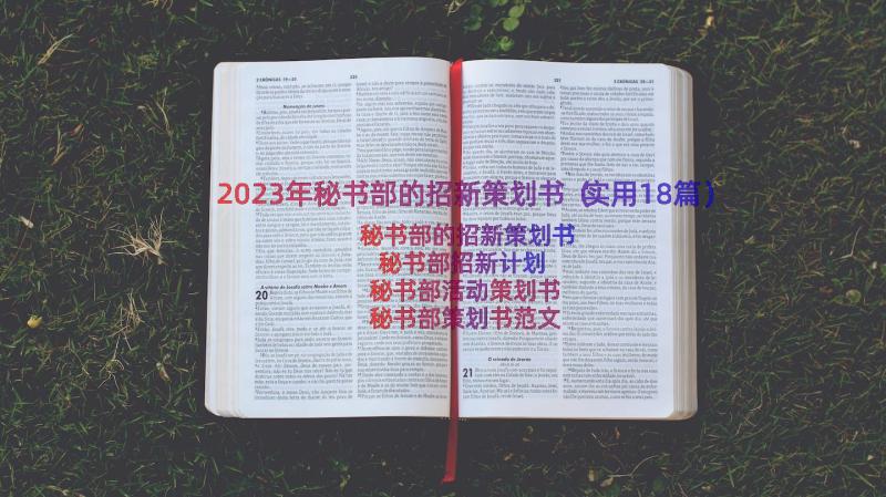 2023年秘书部的招新策划书（实用18篇）