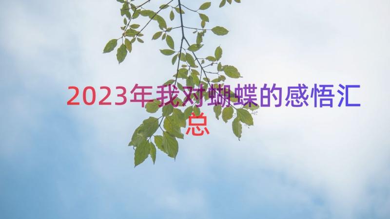 2023年我对蝴蝶的感悟（汇总15篇）