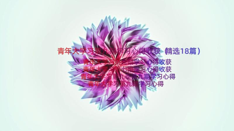 青年大学习第九期学习心得收获（精选18篇）