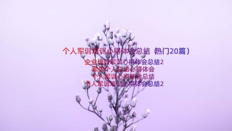 个人军训培训心得体会总结（热门20篇）