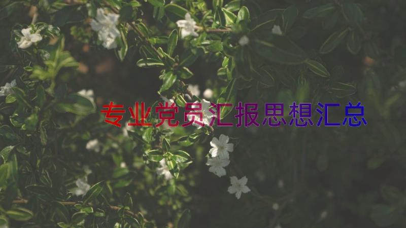 专业党员汇报思想（汇总19篇）