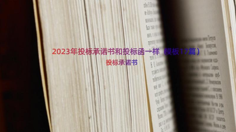 2023年投标承诺书和投标函一样（模板17篇）