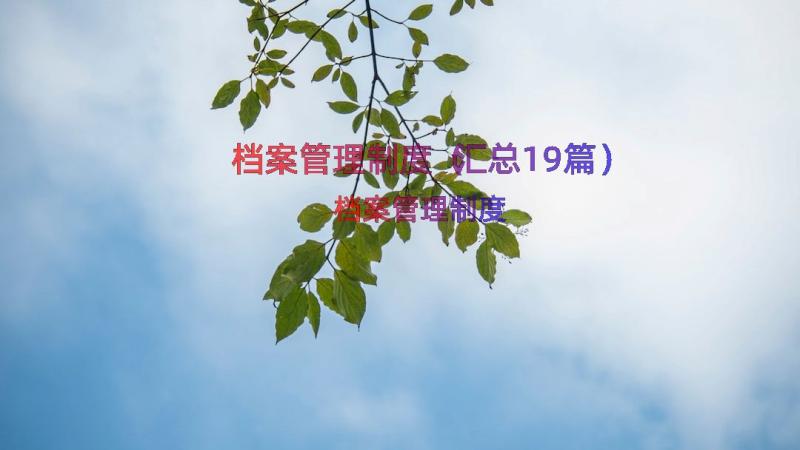 档案管理制度（汇总19篇）