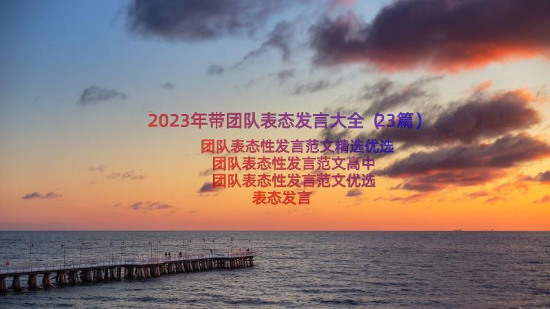 2023年带团队表态发言大全（23篇）