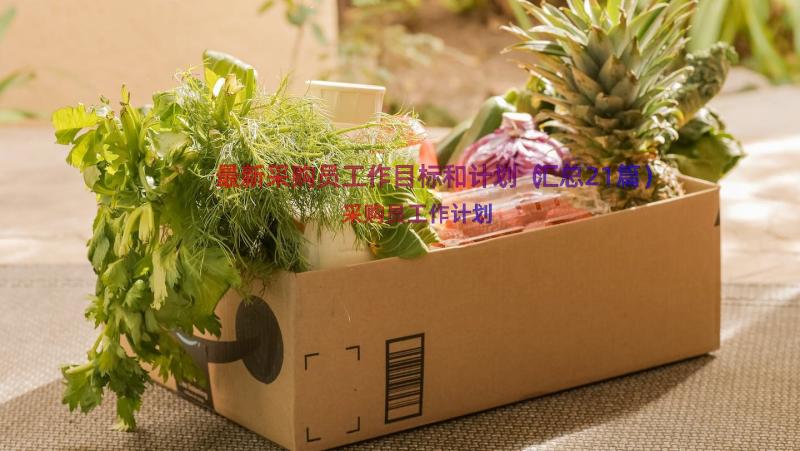 最新采购员工作目标和计划（汇总21篇）