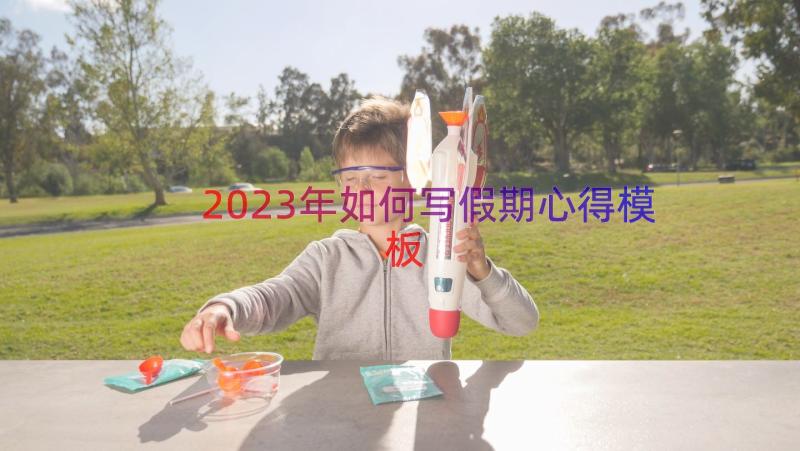 2023年如何写假期心得（模板12篇）