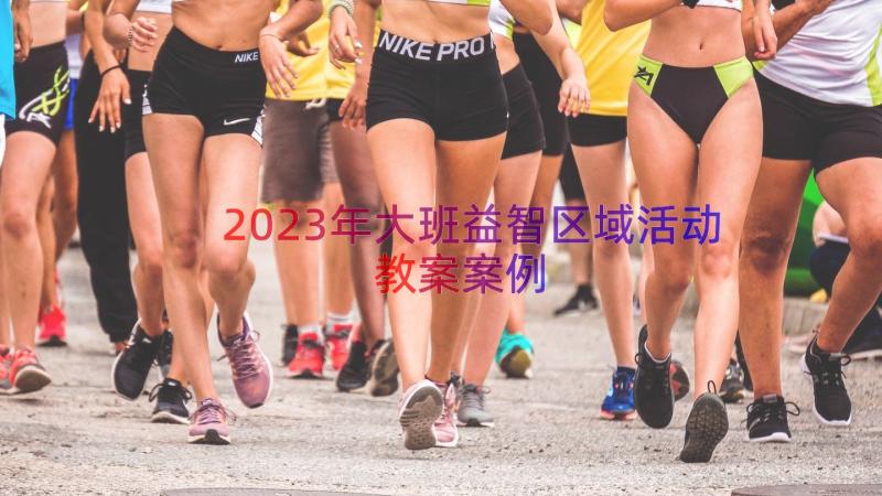 2023年大班益智区域活动教案（案例18篇）