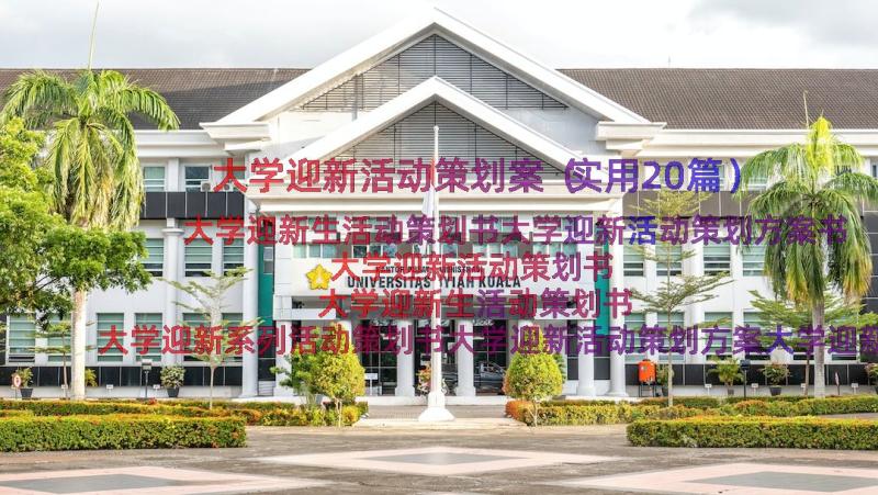 大学迎新活动策划案（实用20篇）