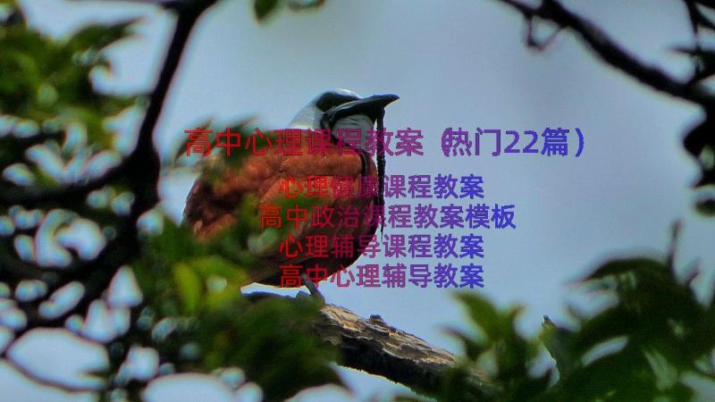 高中心理课程教案（热门22篇）