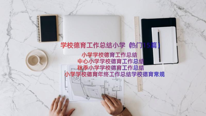 学校德育工作总结小学（热门15篇）