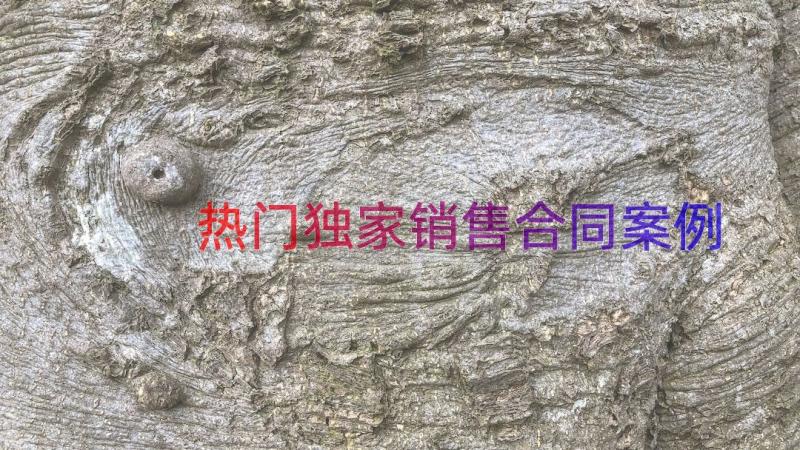 热门独家销售合同（案例16篇）