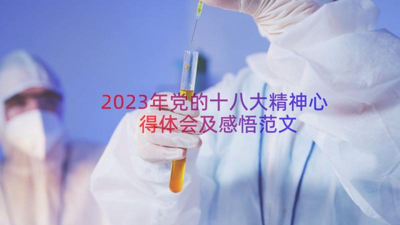 2023年党的十八大精神心得体会及感悟范文（17篇）