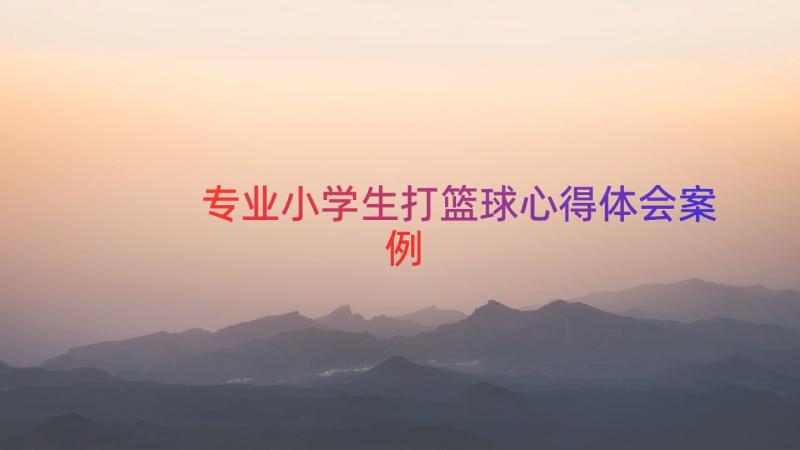 专业小学生打篮球心得体会（案例13篇）